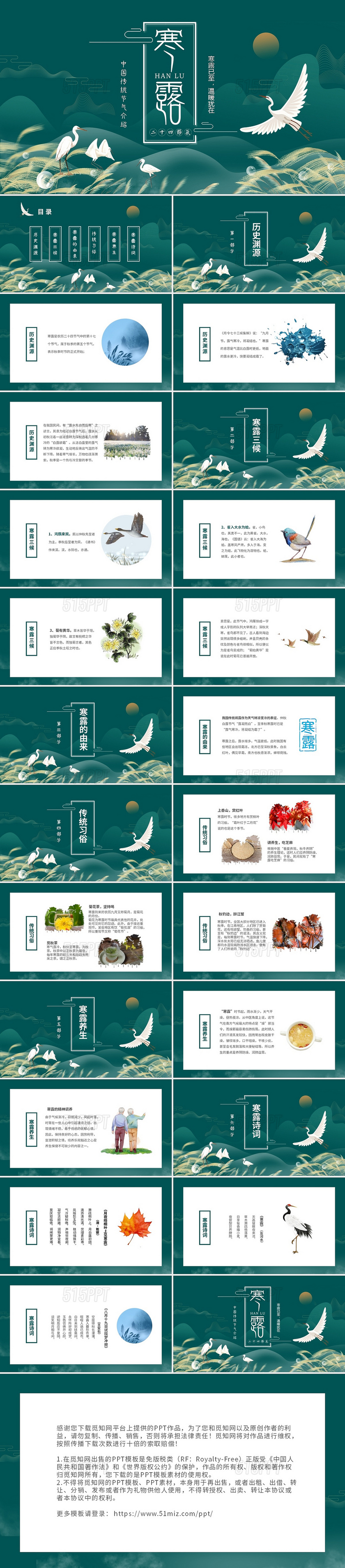 绿色中国风中国二十四传统节气寒露介绍PPT
