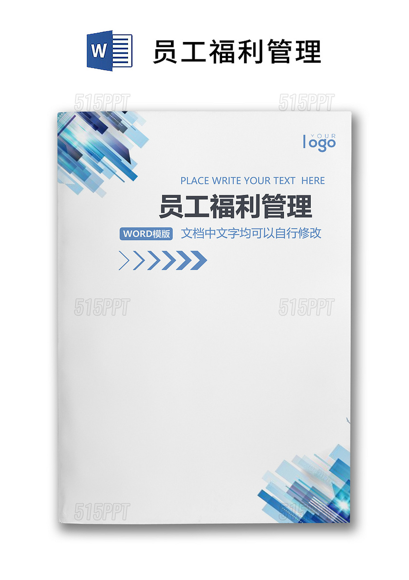 彩色简约公司绩效奖金发放办法福利管理奖励制度word模板