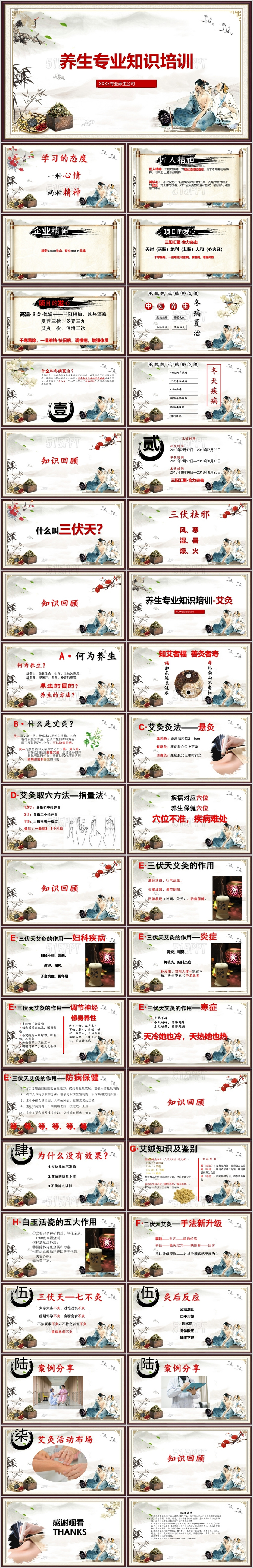 中国风传统经典中医养生艾灸三伏贴培训宣传