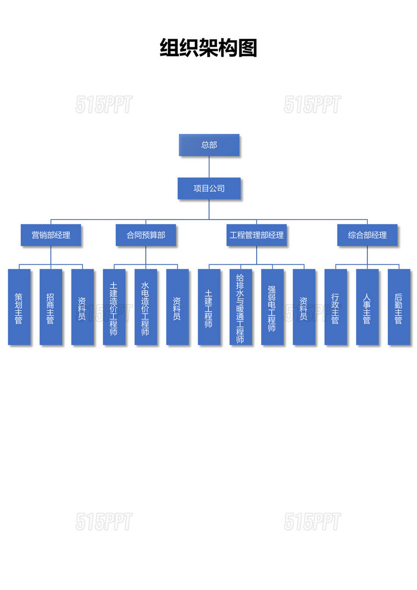 项目公司组织架构图