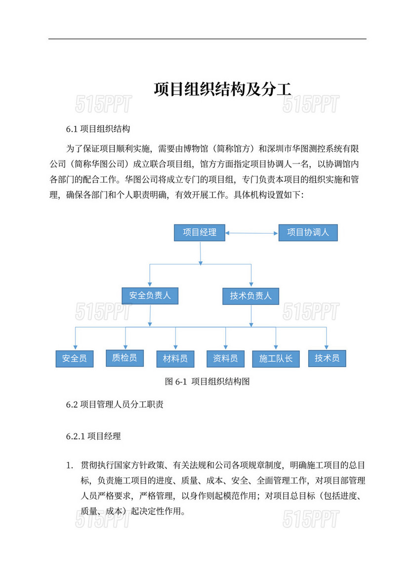 项目组织结构及分工（样板）