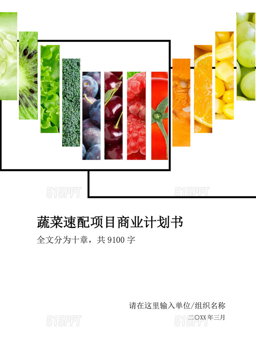 蔬菜速配项目商业计划书大学生项目计划书大学生创新创业项目计划书