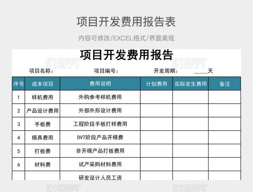 项目开发费用报告表