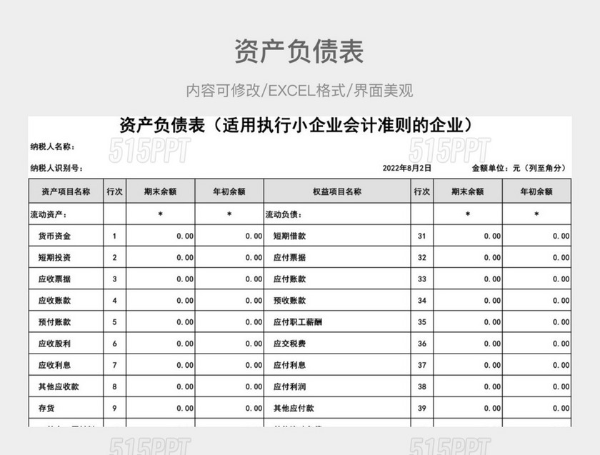 资产负债表（适用执行小企业）