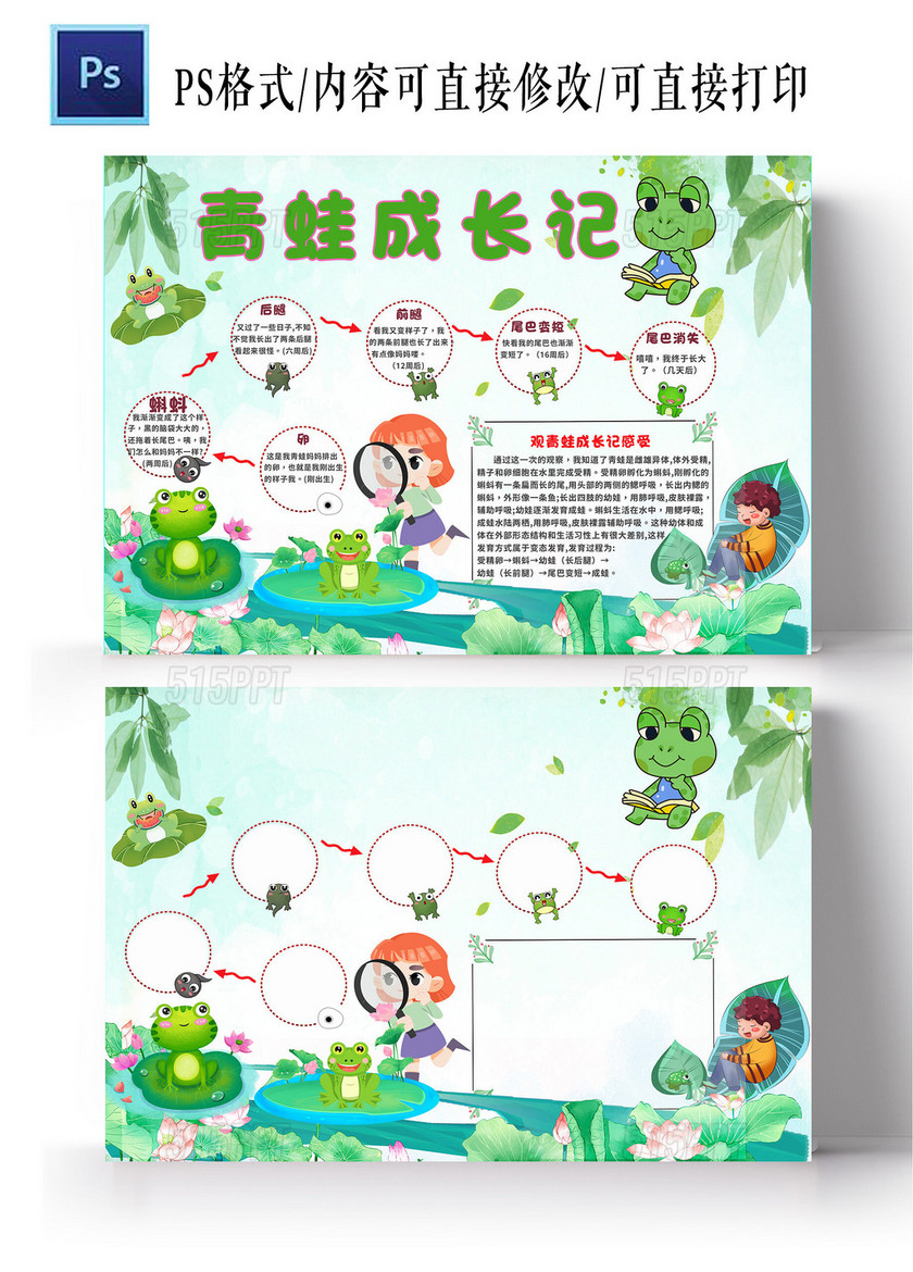 绿色卡通青蛙成长记小学生手抄报青蛙观察日记