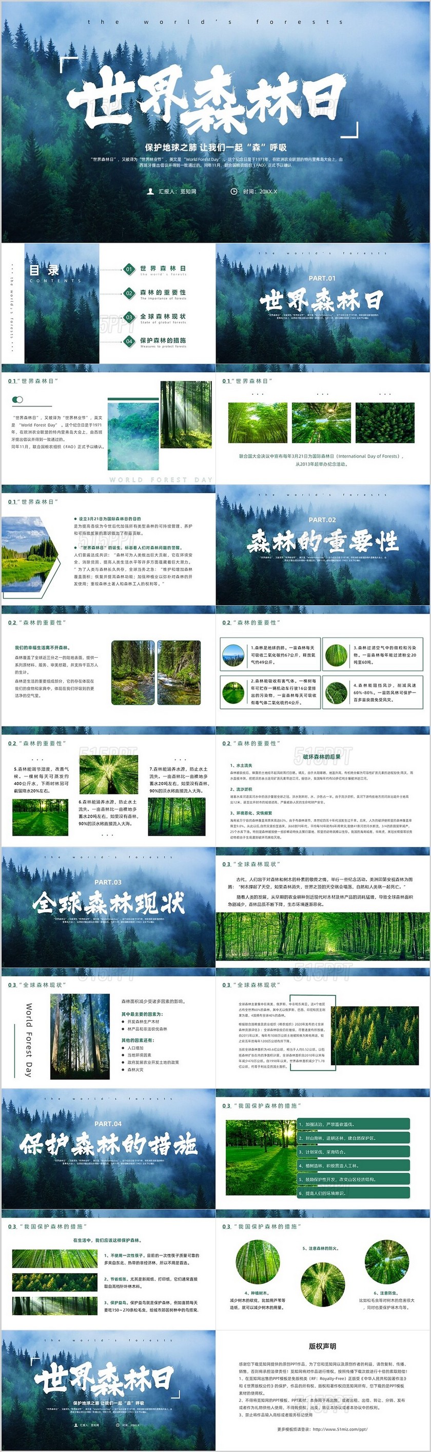 绿色实拍风世界森林日课件