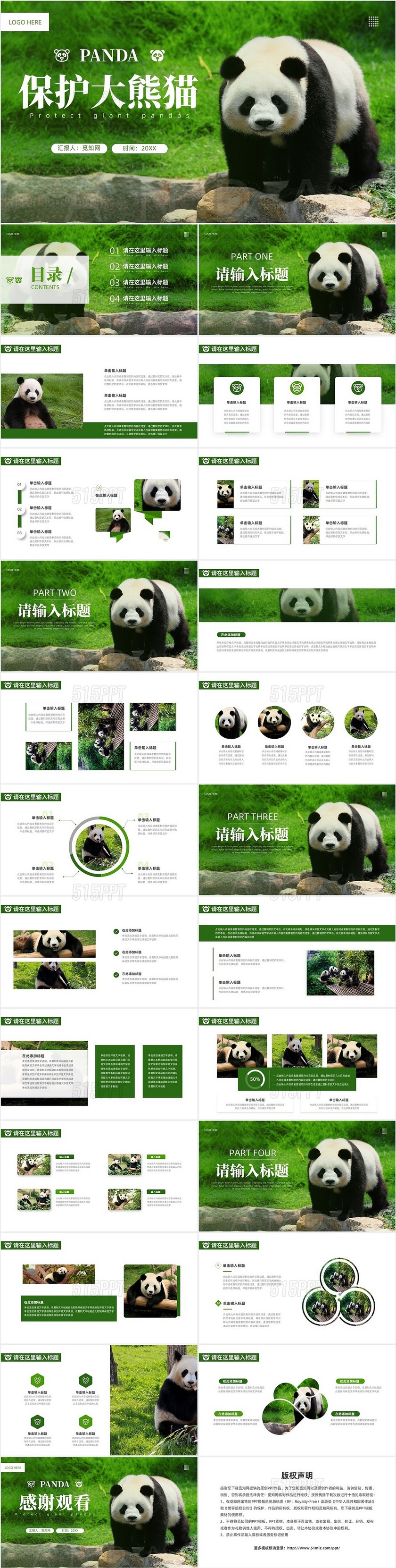 绿色实拍风保护大熊猫科普主题PPT模板