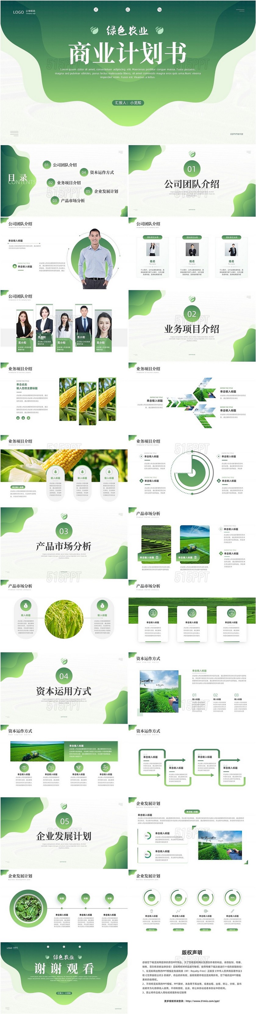 简约绿色农业商业计划书