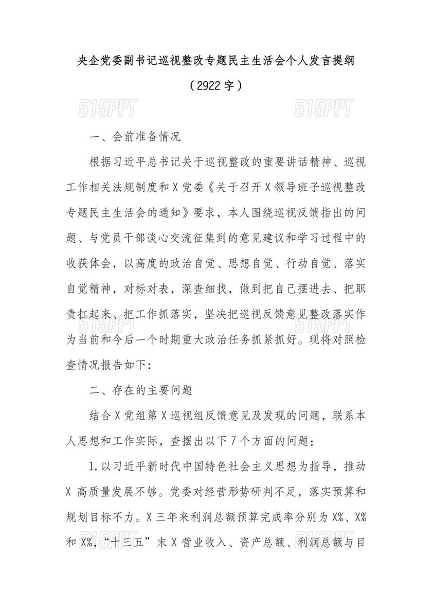 国企党委副书记巡视整改专题民主生活会个人发言提纲.docx