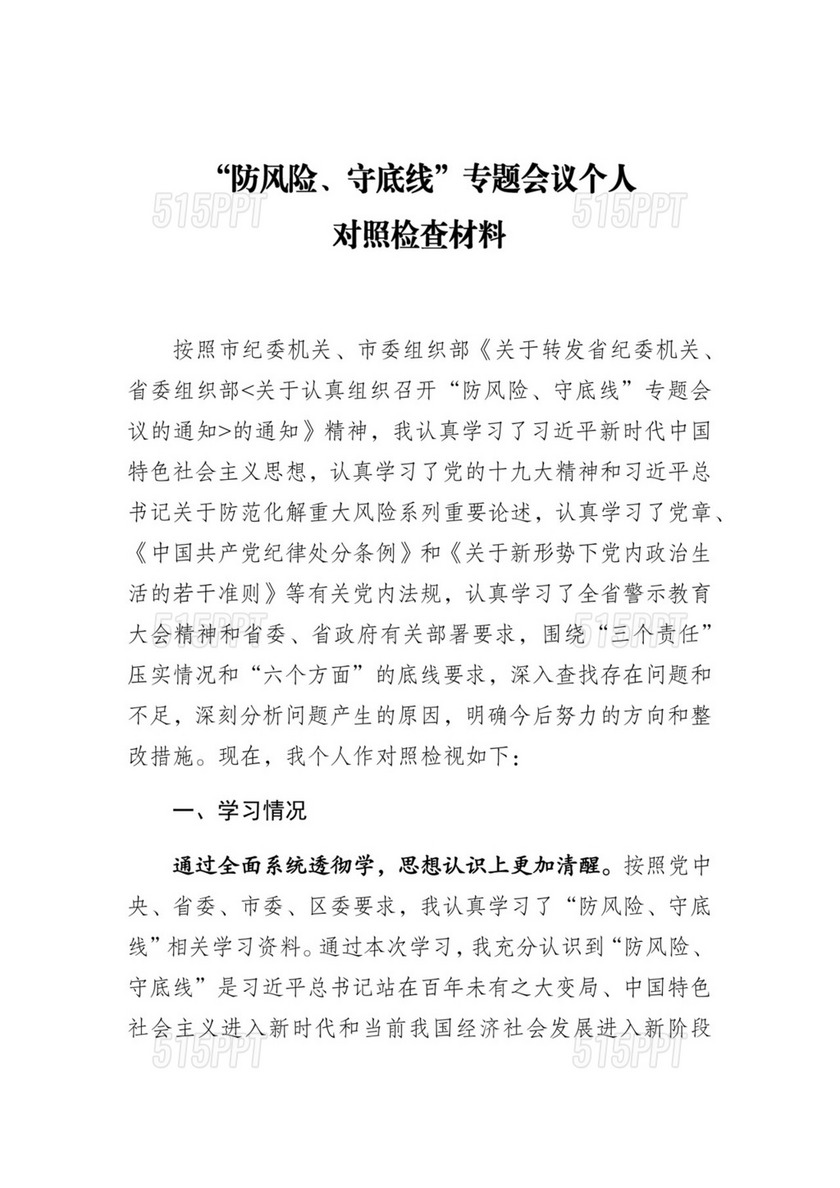 防风险守底线专题会议个人对照检查材料.docx