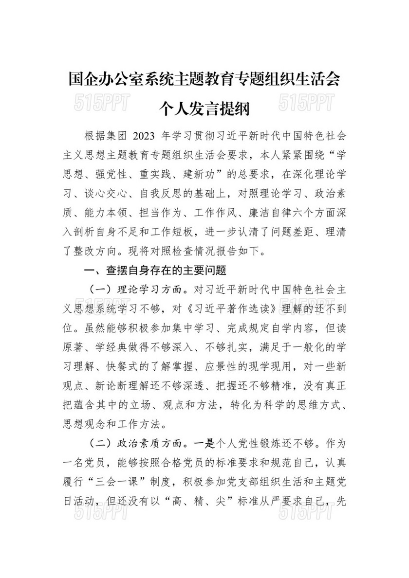 国企办公室系统主题教育专题组织生活会个人发言提纲.docx