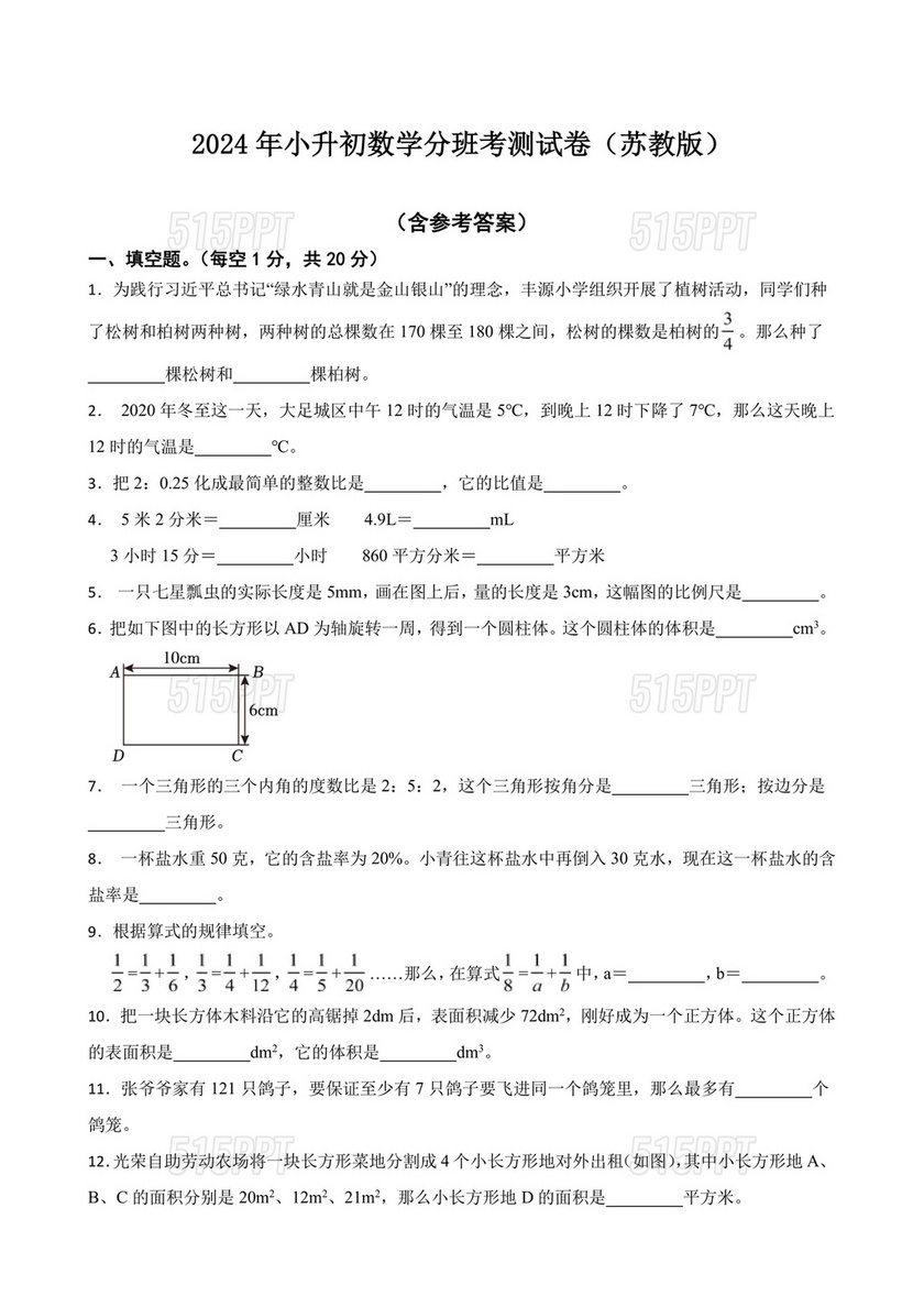 江苏小升初分班考试卷