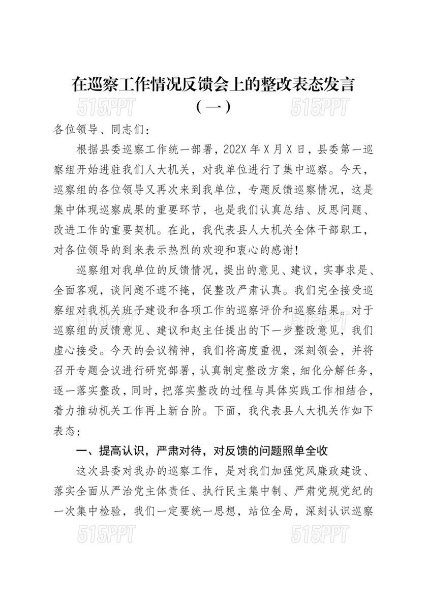 在巡察工作情况反馈会上的表态发言