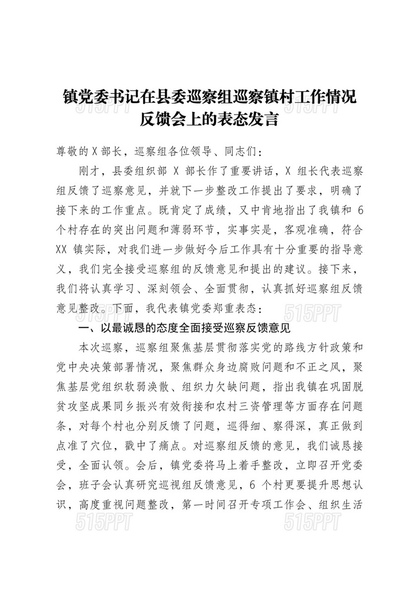 在巡察工作情况反馈会上的表态发言