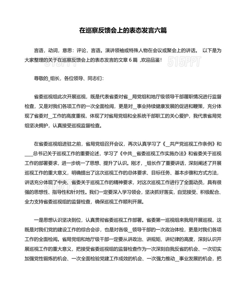 在巡察工作情况反馈会上的表态发言