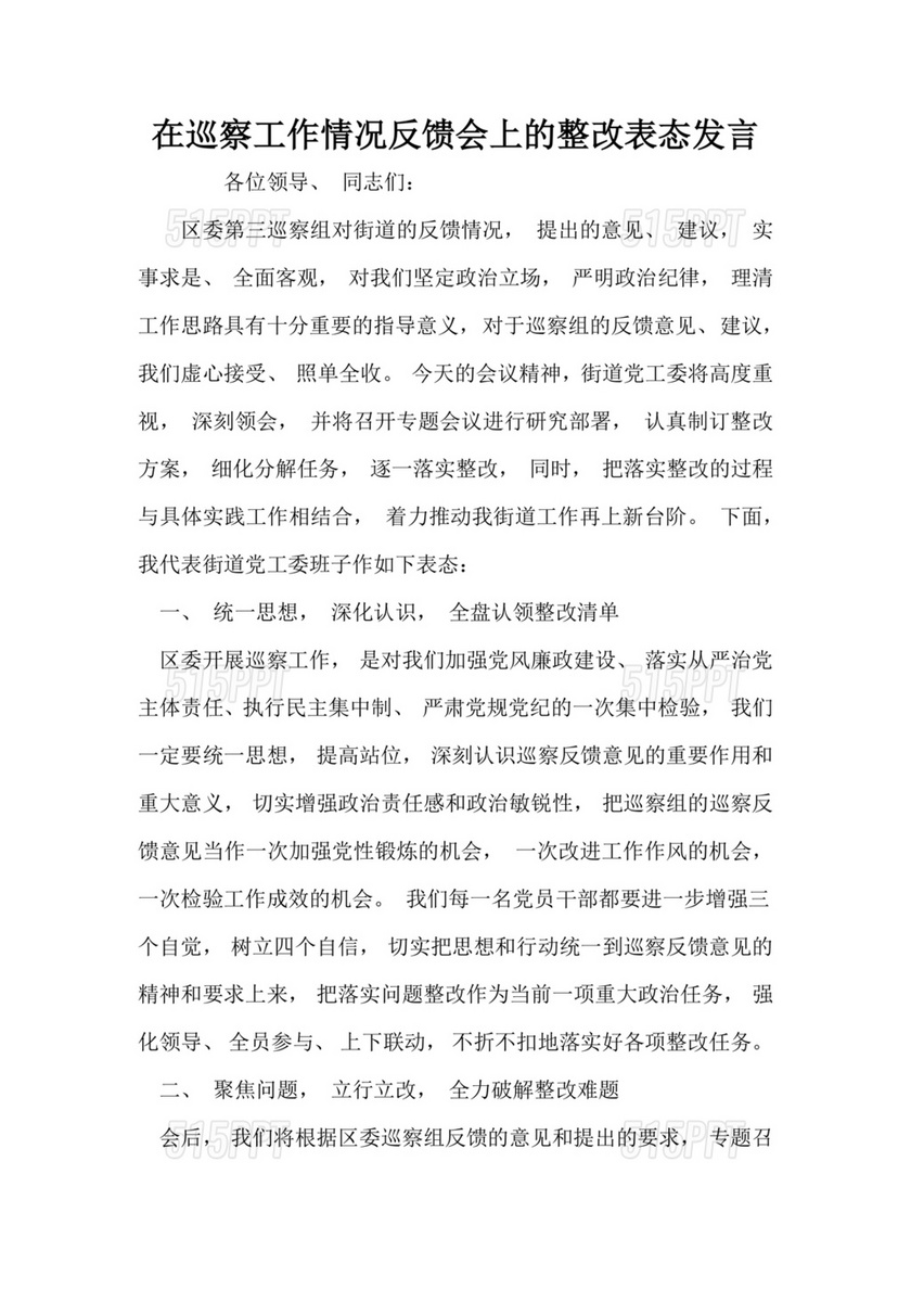 在巡察工作情况反馈会上的表态发言