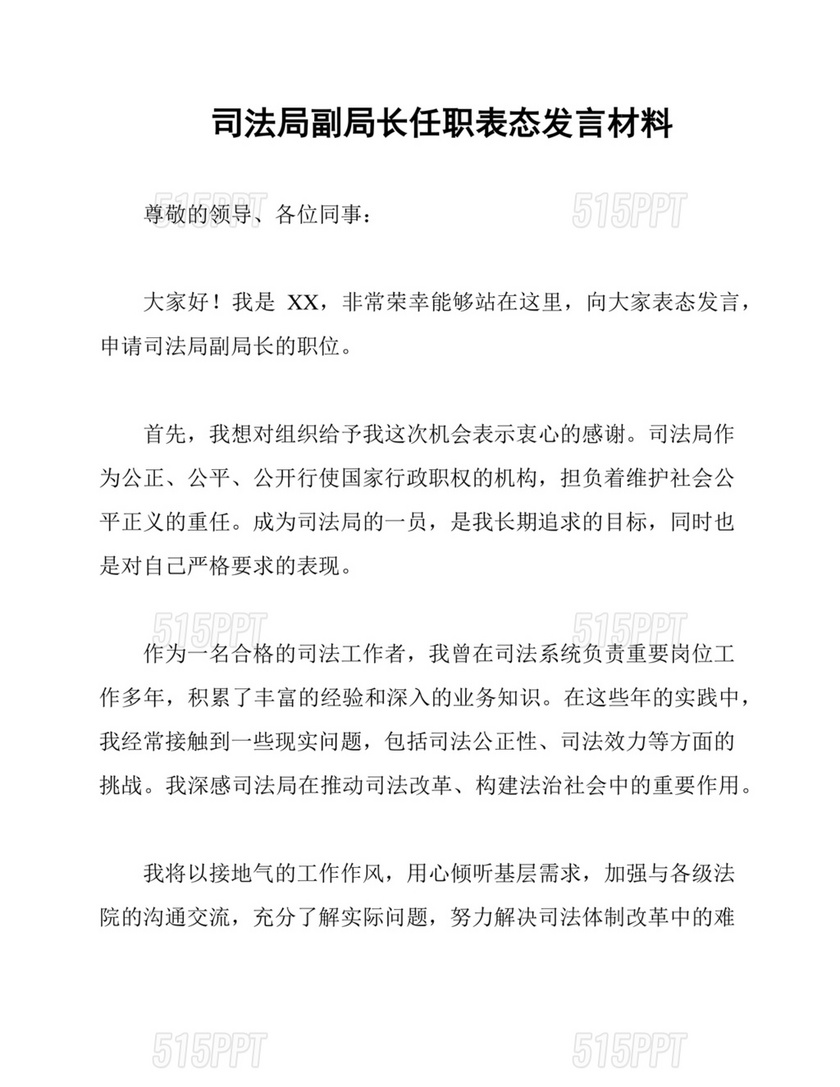 副局长任职表态发言简短