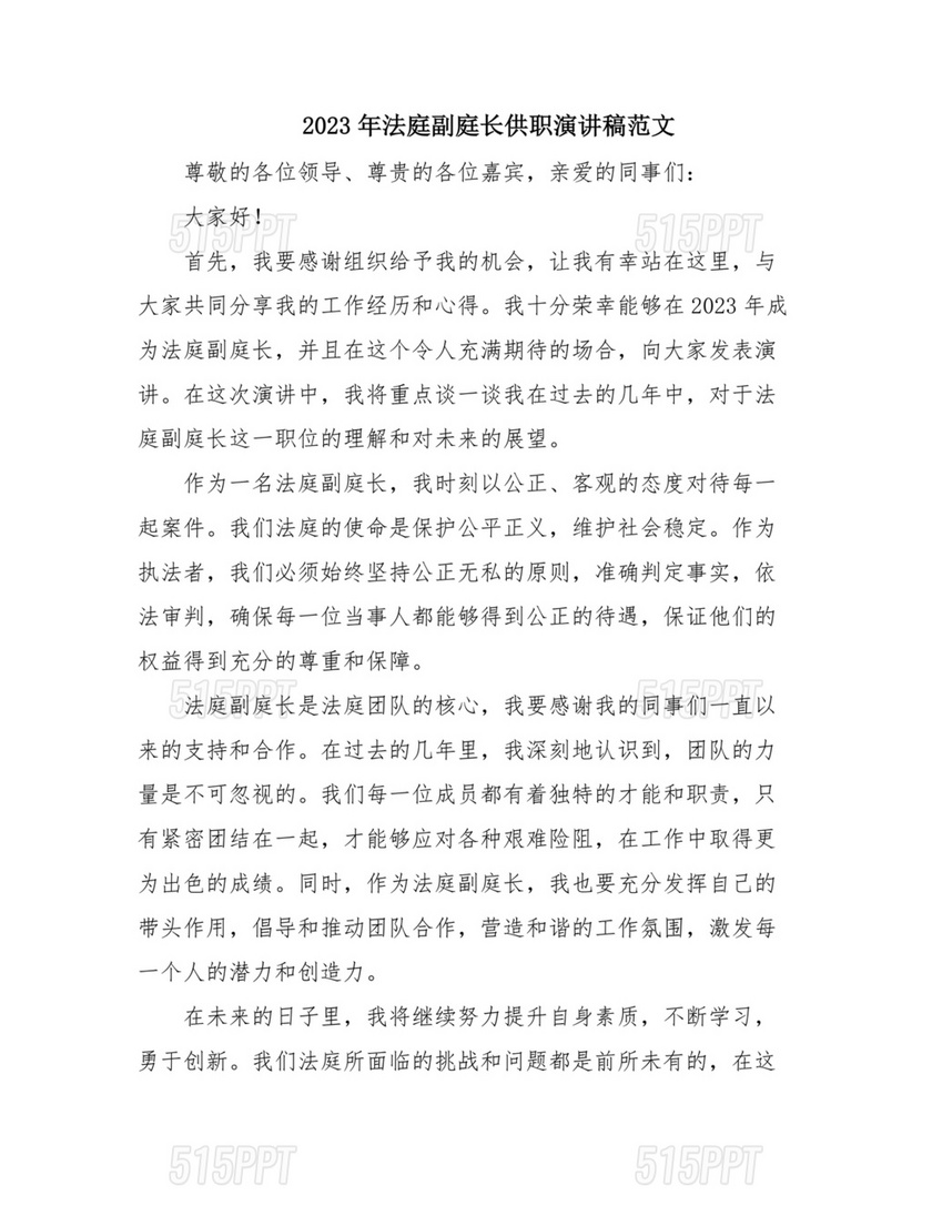 副庭长任职表态发言