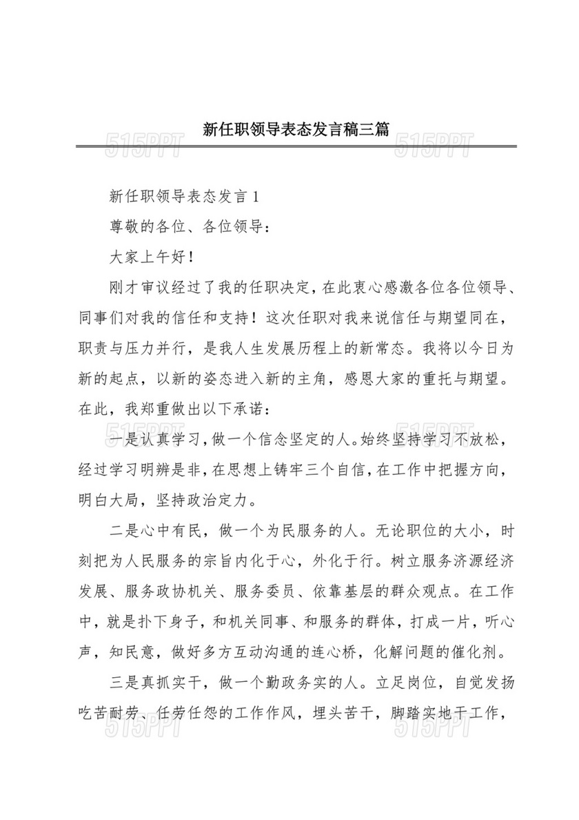 新领导任职表态发言稿