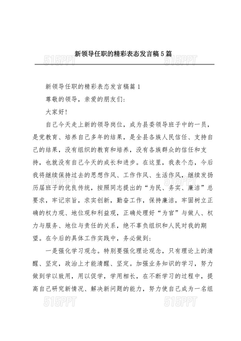 新领导任职表态发言稿