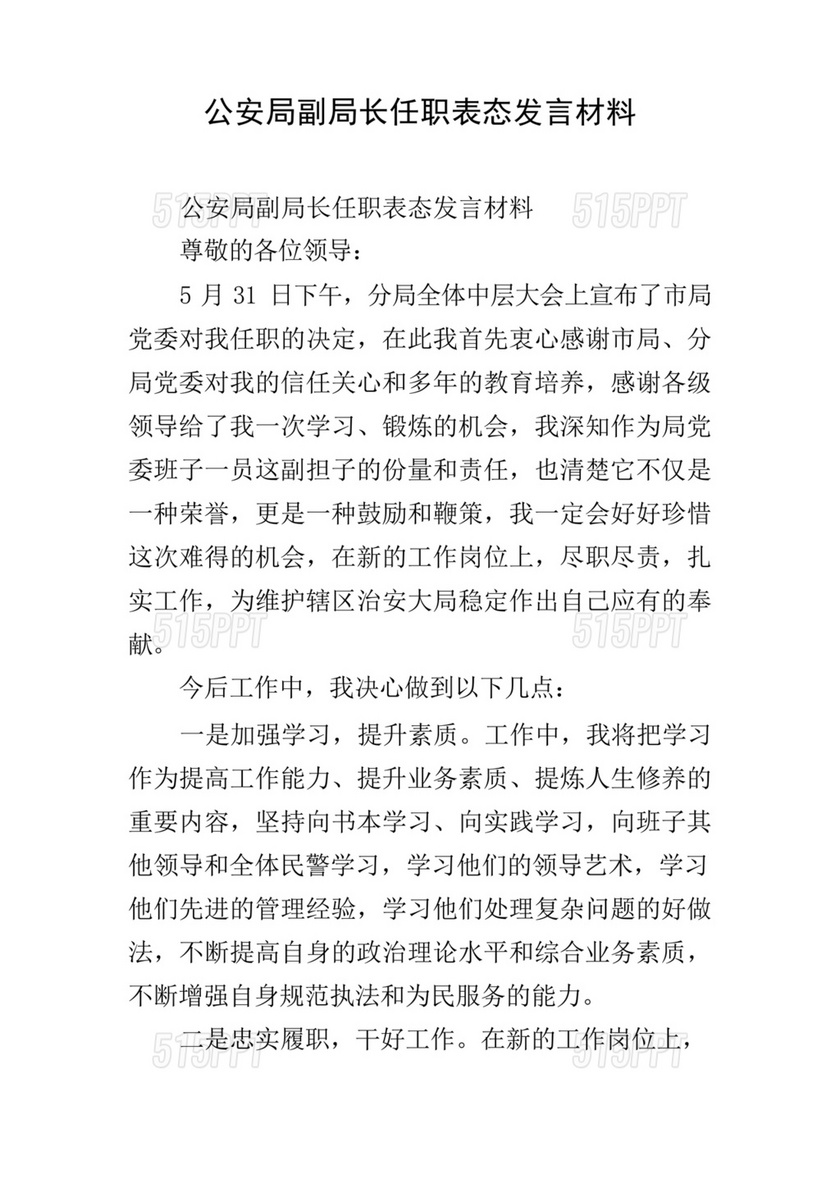 副局长任职表态发言简短