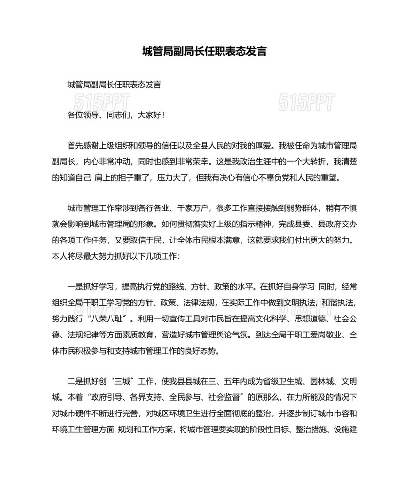 副局长任职表态发言简短