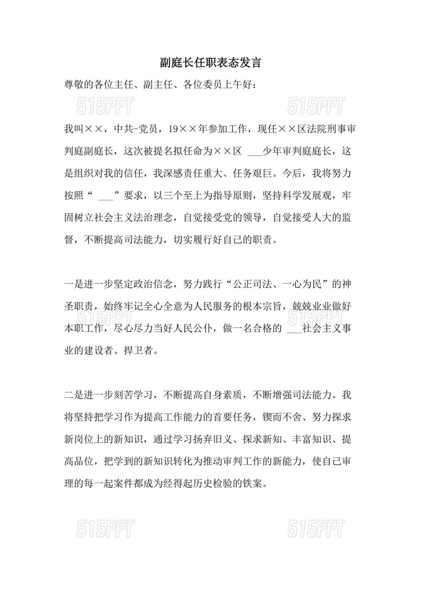 副庭长任职表态发言