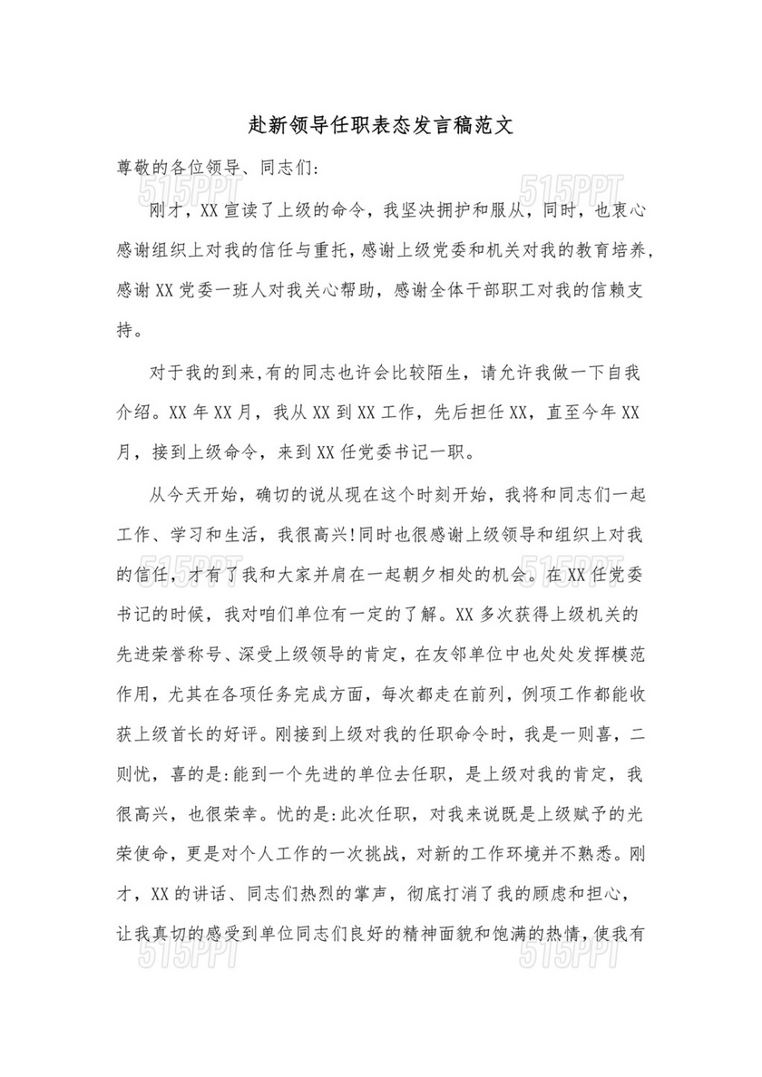 新领导任职表态发言稿