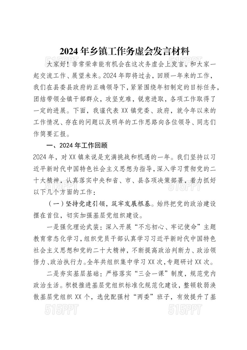 2024年务虚会发言材料