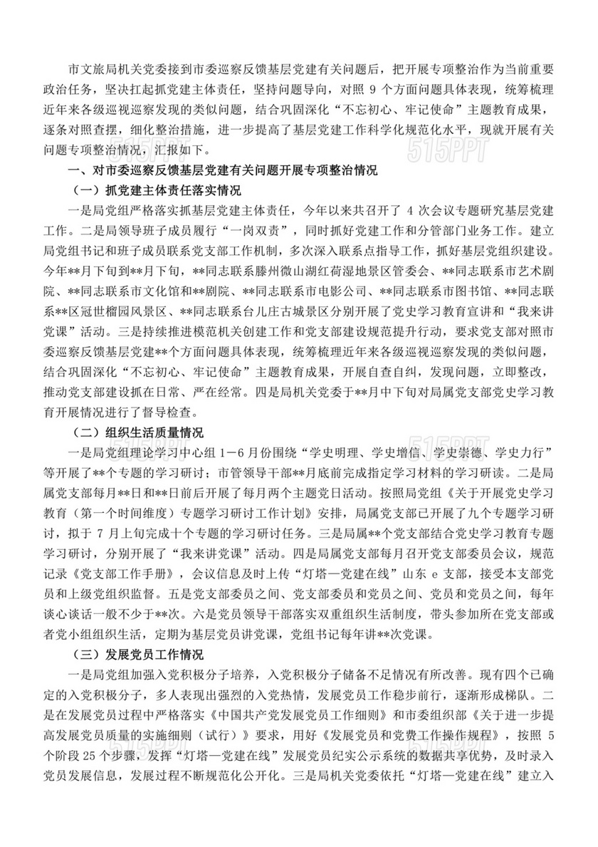 巡察自查自纠报告及整改措施