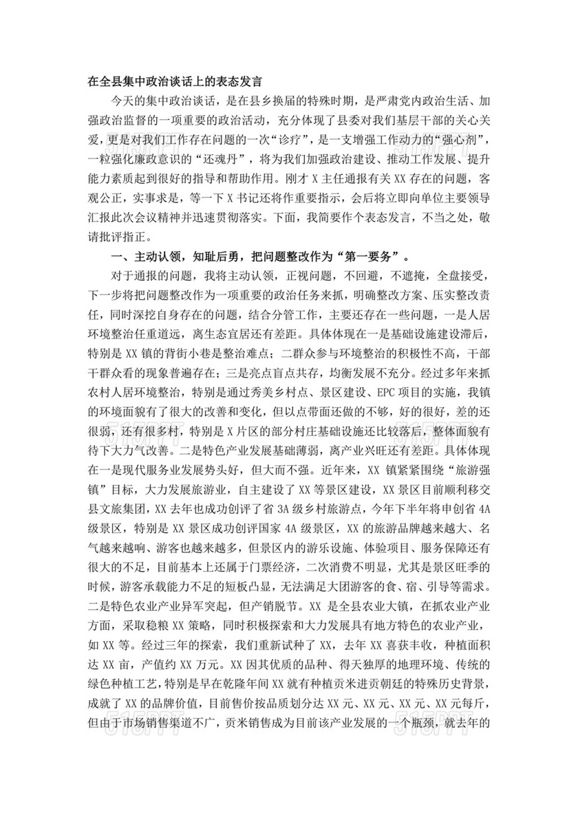 政治谈话表态发言300字