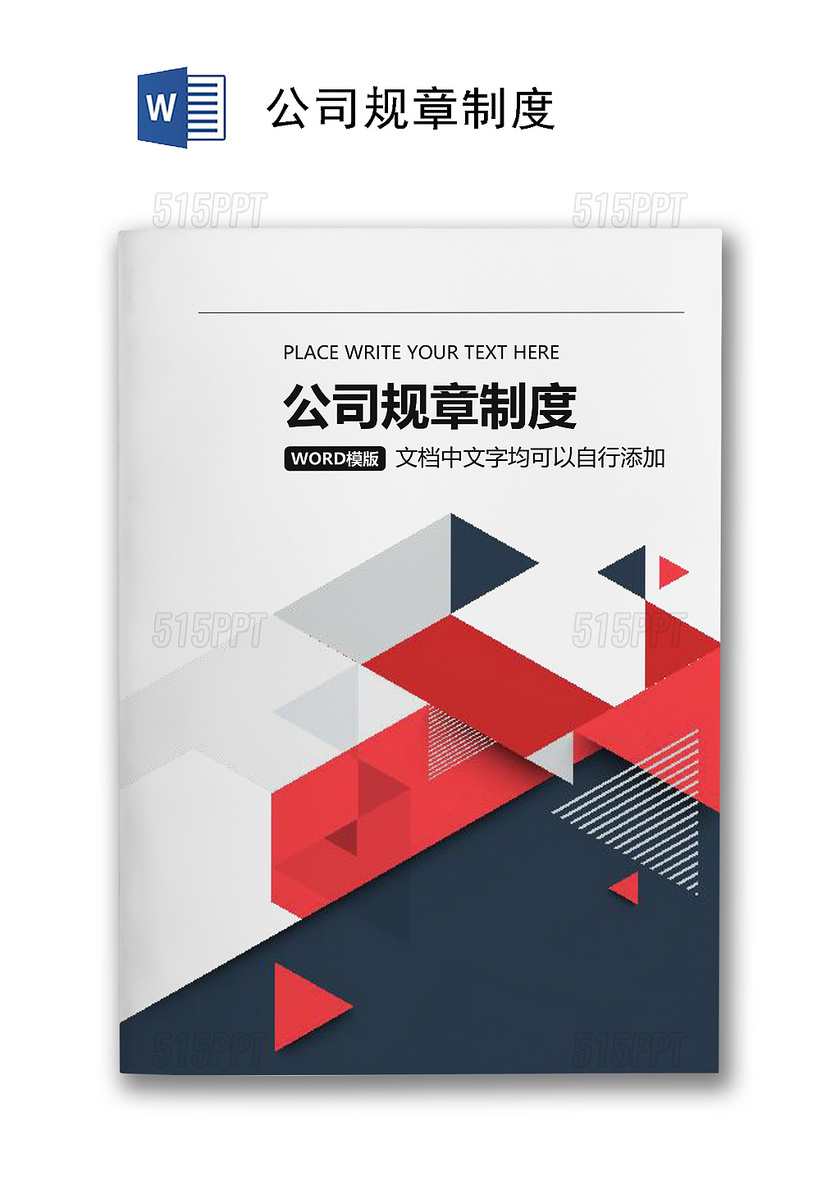 公司规章制度方案Word文档