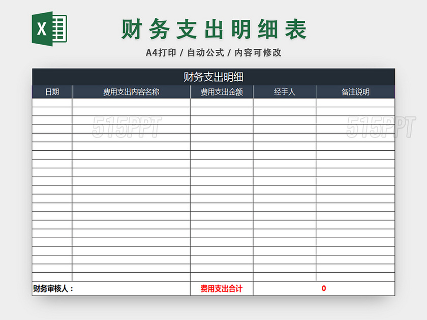 财务支出明细表