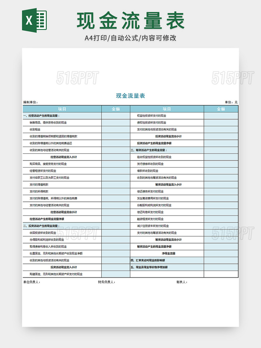 现金流量表会计财务表格