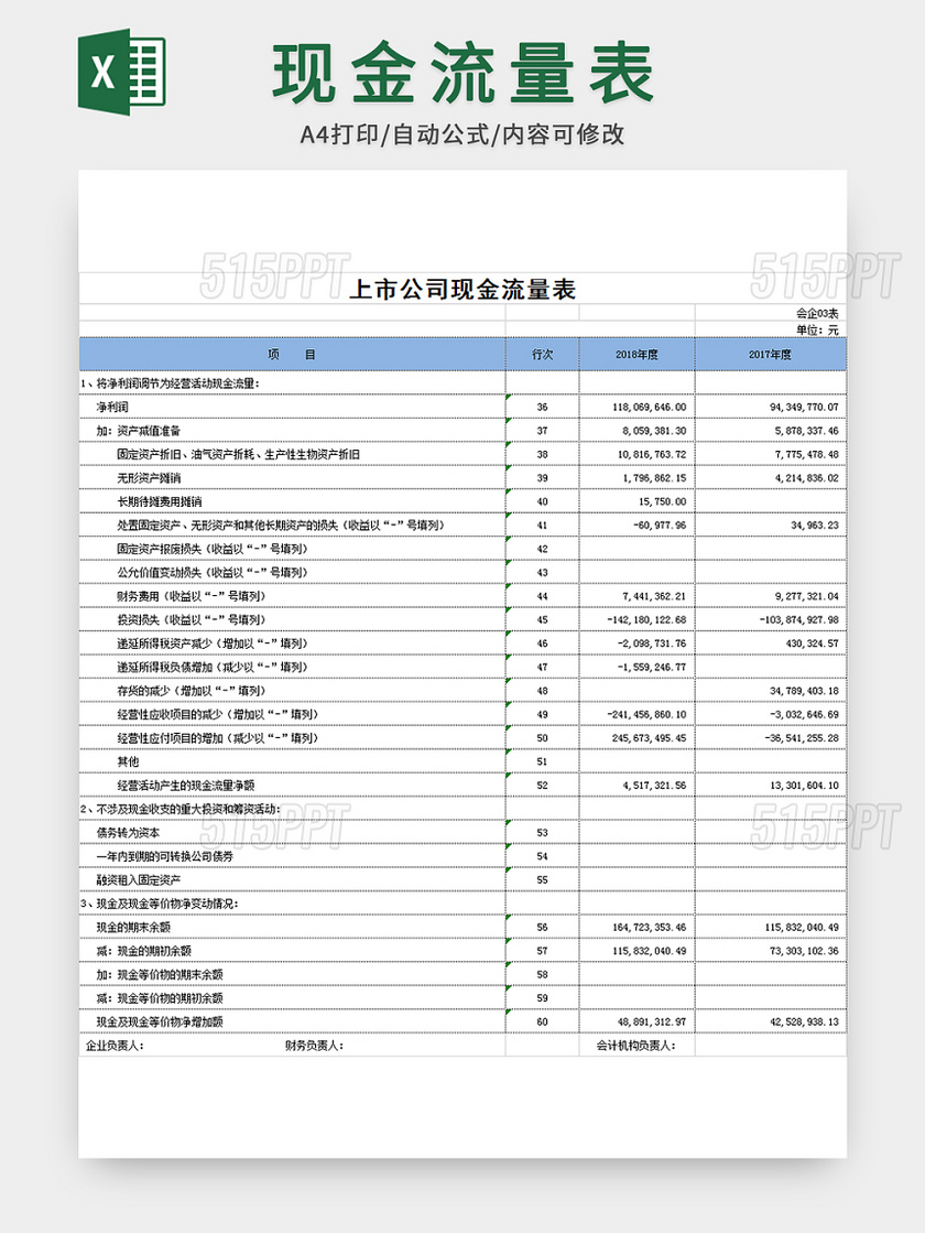 会计财务现金流量表模板