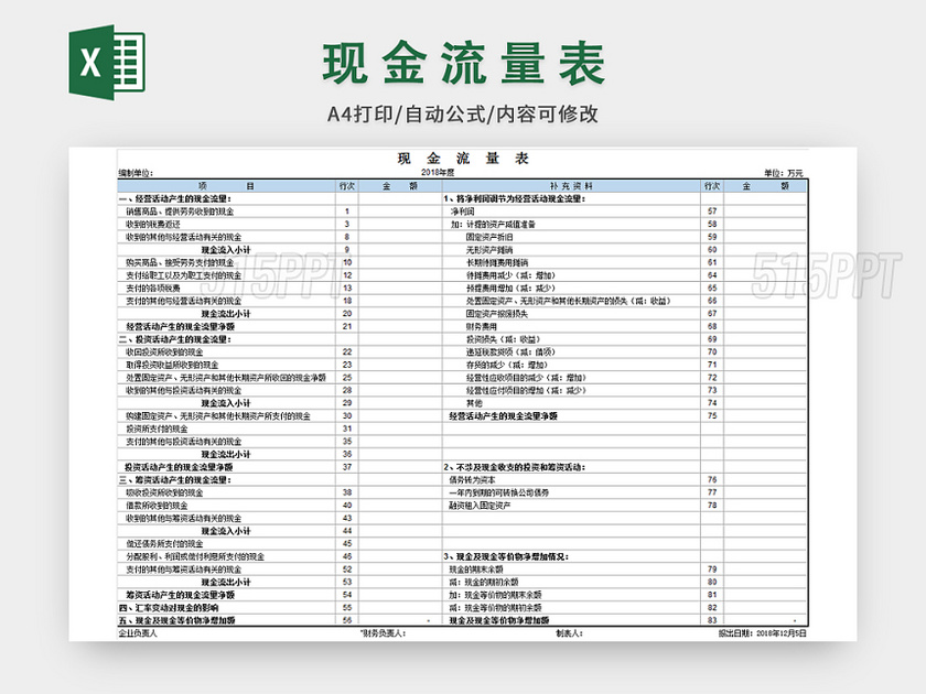 公司会计财务现金流量表