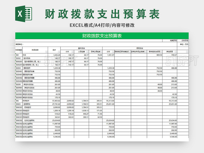 财政拨款支出预算表excel模板