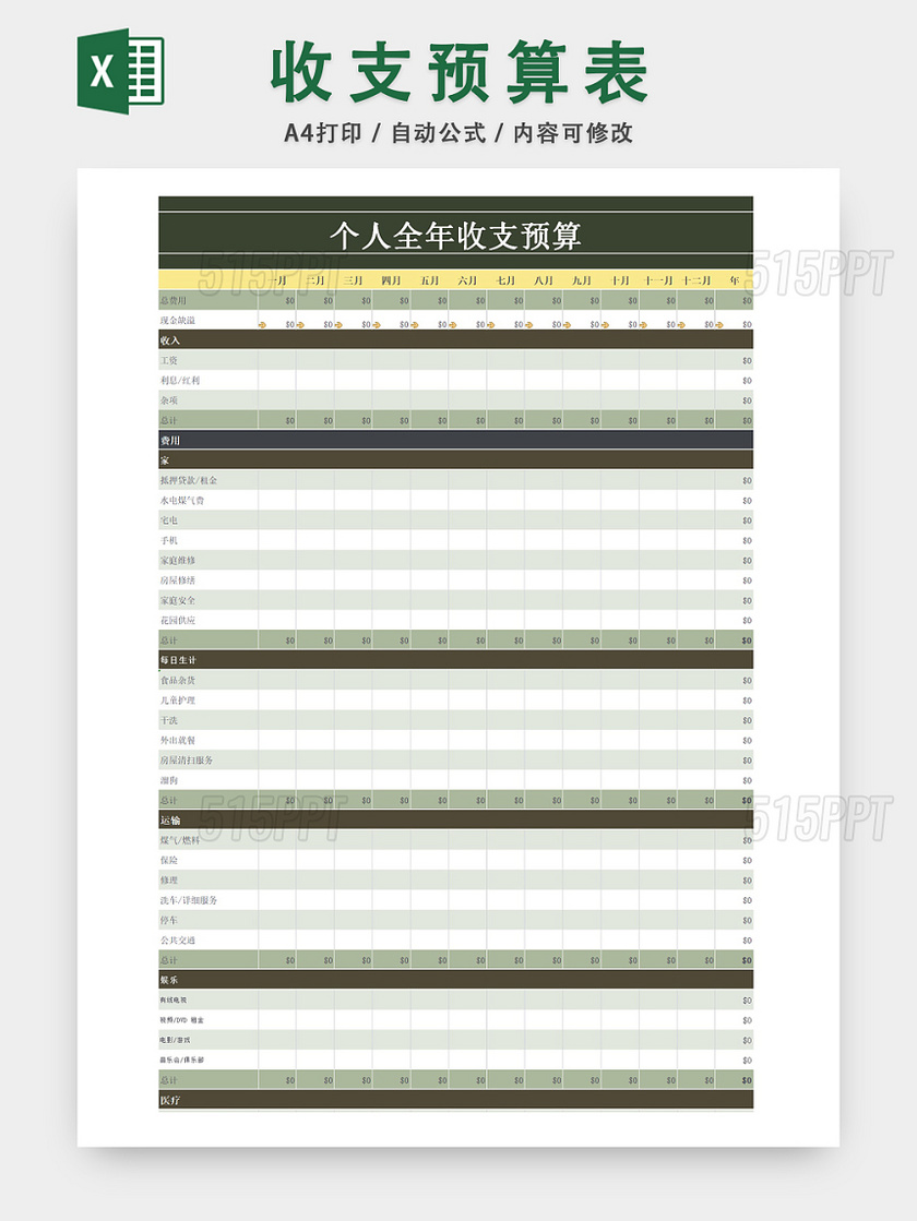 个人全年收支预算统计表表