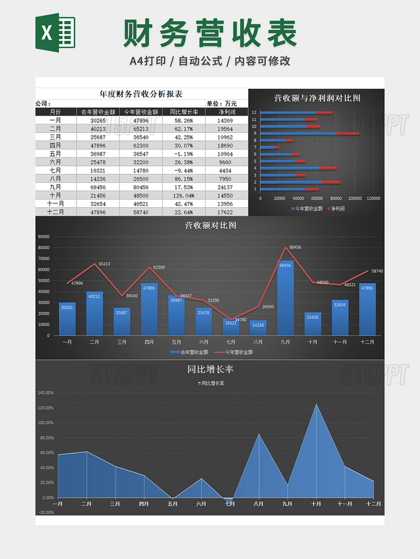 年度财务营收分析表