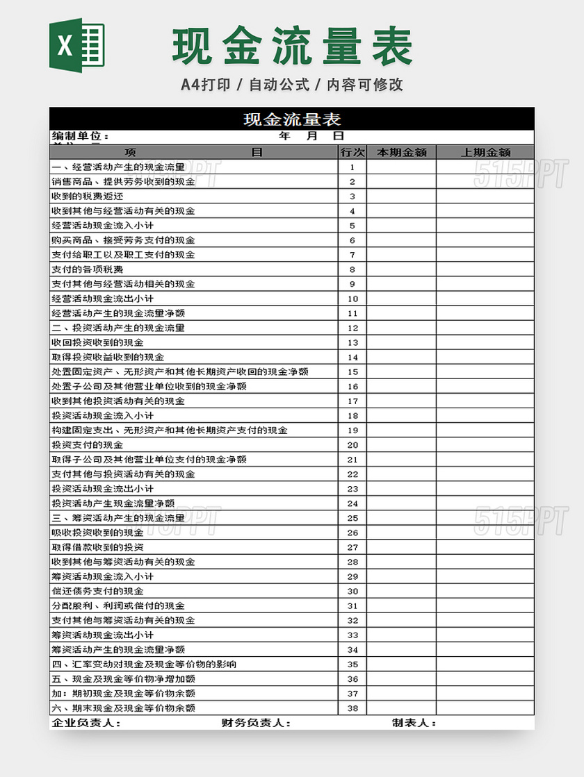 现金流量表收支明细表财务报表