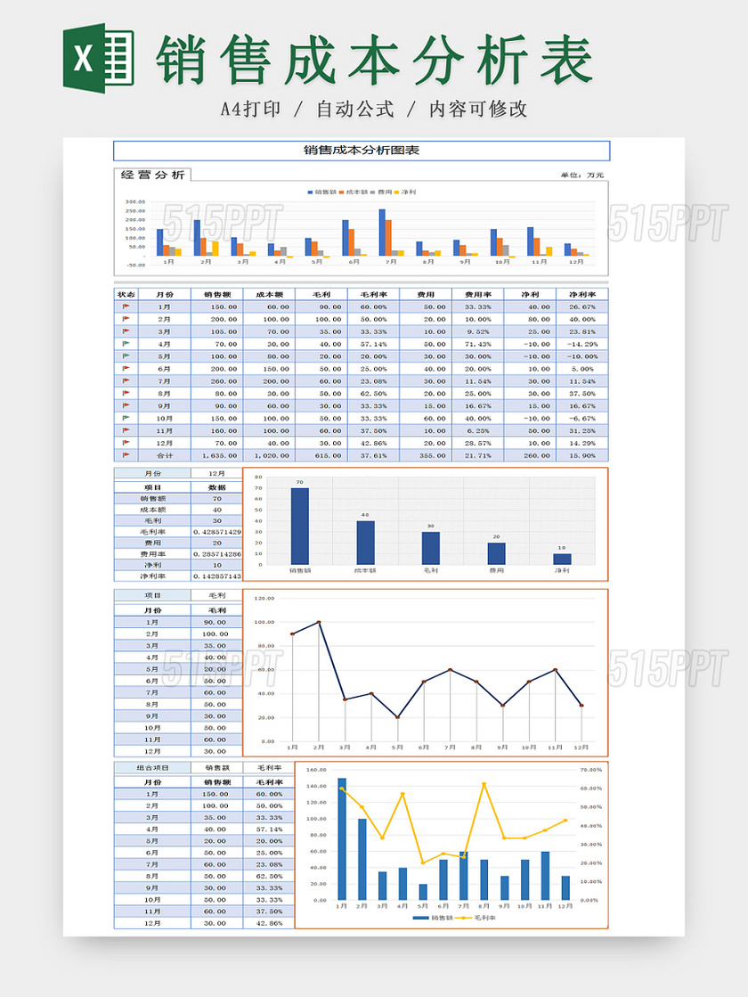 企业公司销售成本分析Excel表