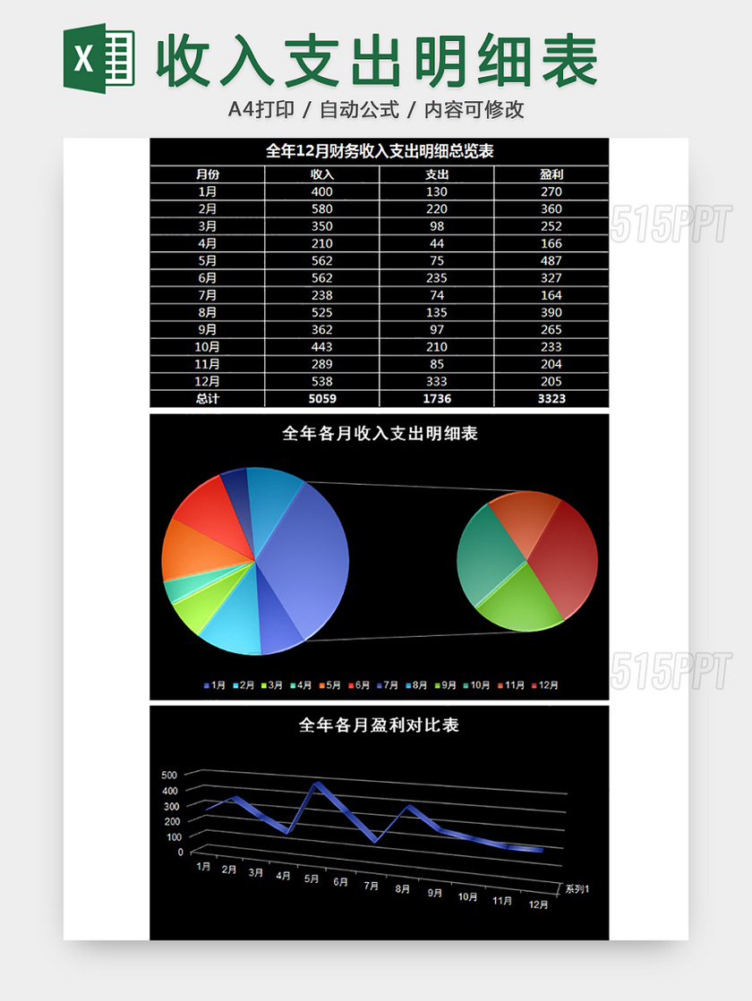 收入支出明细表