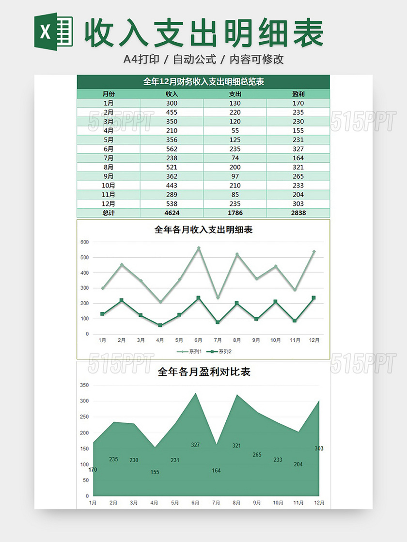 收入支出明细表