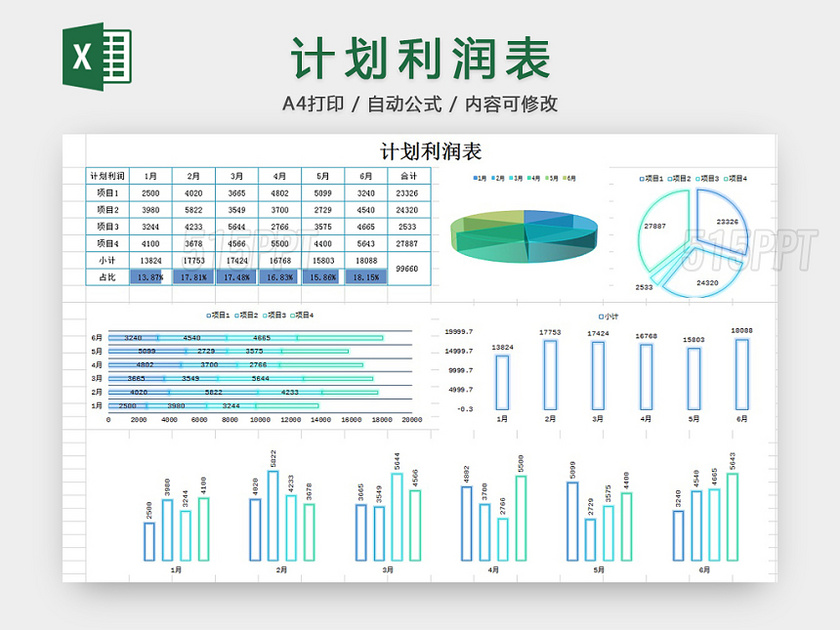 计划利润表