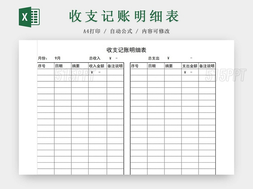 简约公司财务记账统计表资金明细支出表