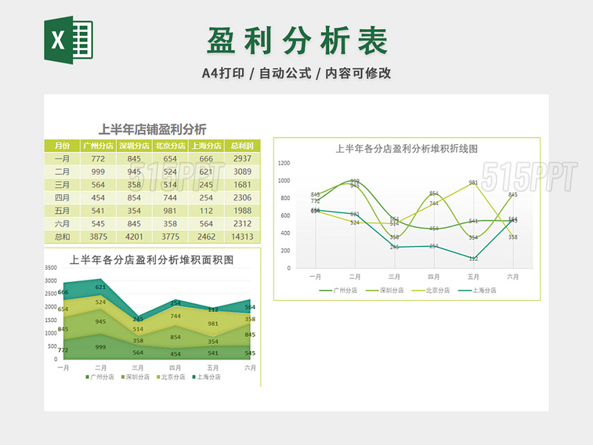 财务收支记账报告表