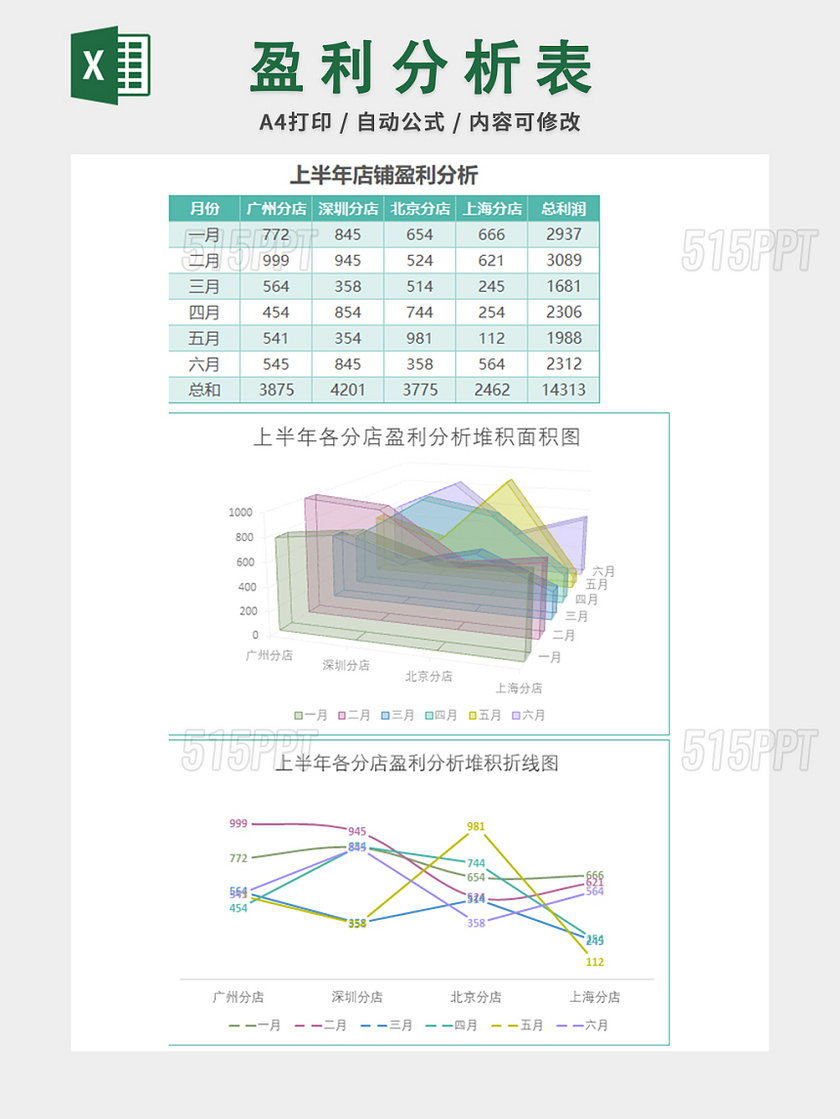 财务收支记账报告表