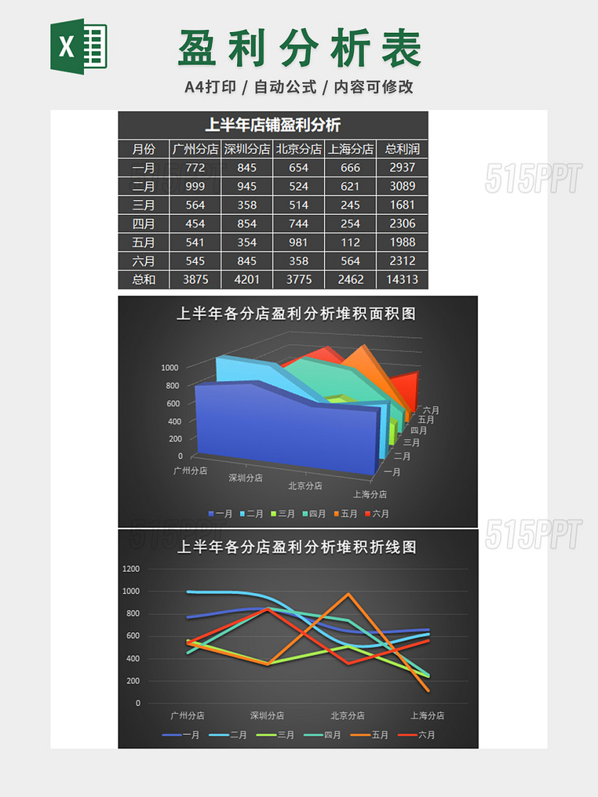 财务收支记账报告表