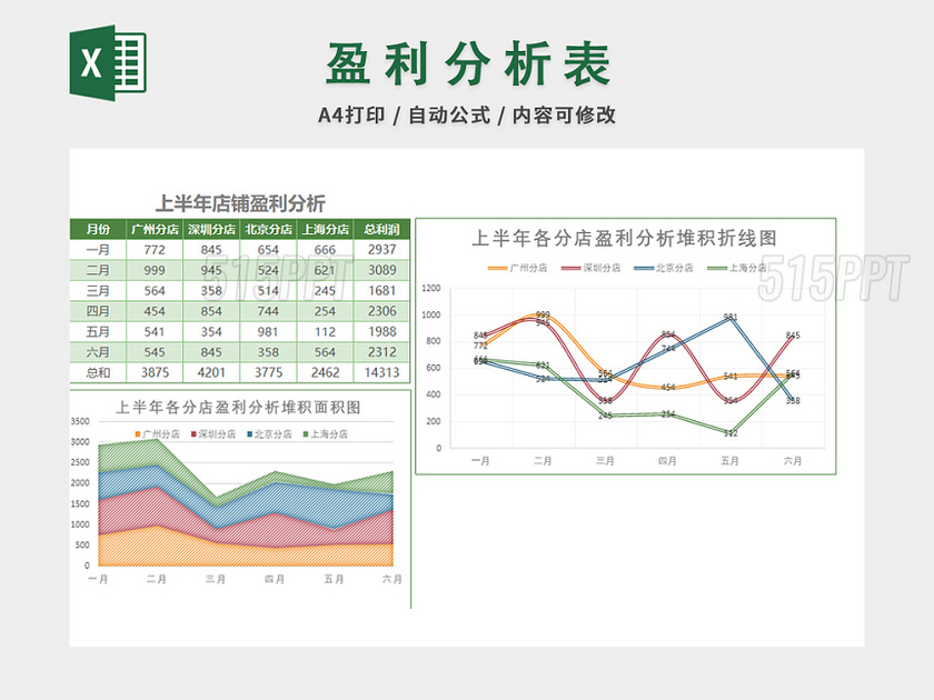 财务收支记账报告表