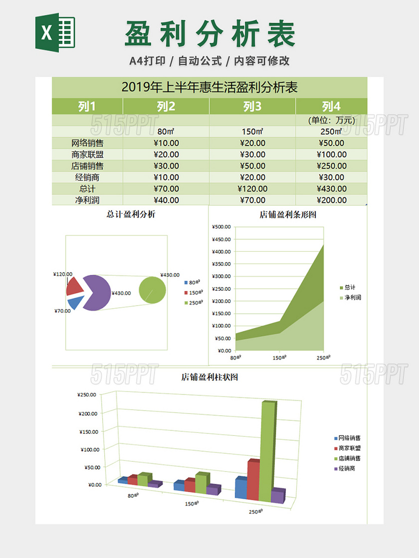 财务收支记账报告表